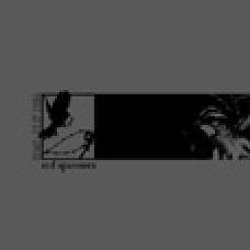 Red Sparowes : Red Sparowes